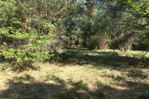 Thumbnail of property #248543706. Click for details