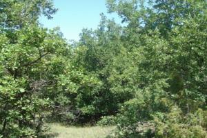 Picture of listing #290274492. Land for sale in Saint-Julien