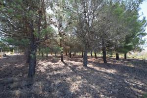 Picture of listing #307679795. Land for sale in Paraza