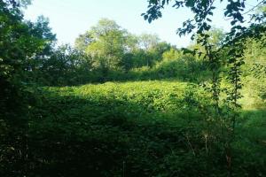 Picture of listing #309083458. Land for sale in Vailhourles