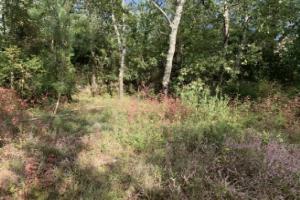 Picture of listing #312286834. Land for sale in Fressac
