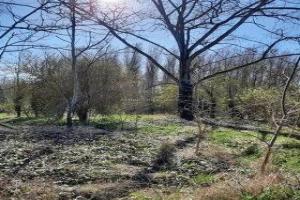 Picture of listing #313390824. Land for sale in Péronne