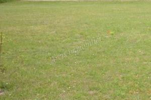 Picture of listing #313472774. Land for sale in Mailly-le-Camp