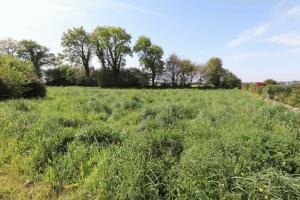 Picture of listing #314338674. Land for sale in Carhaix-Plouguer