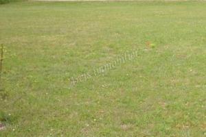 Picture of listing #314348624. Land for sale in Plancy-l'Abbaye
