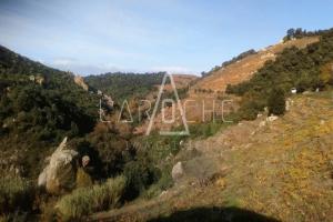 Picture of listing #314635219. Land for sale in Collioure