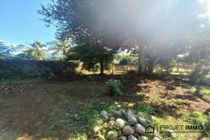 Picture of listing #314750823. Land for sale in Taravao