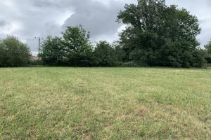 Picture of listing #315094507. Land for sale in Jacque