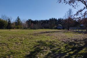 Thumbnail of property #315945772. Click for details