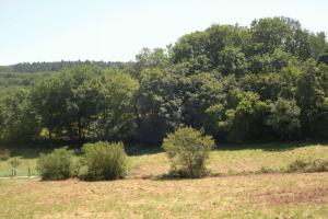 Picture of listing #316032803. Land for sale in Maubourguet