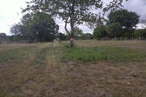 Thumbnail of property #316293492. Click for details