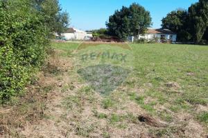 Thumbnail of property #317019982. Click for details