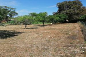 Picture of listing #317077333. Land for sale in Brens