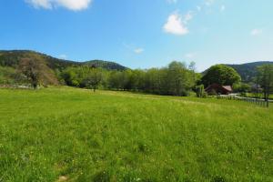 Picture of listing #317089403. Land for sale in Giromagny
