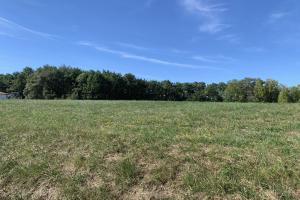 Picture of listing #317182318. Land for sale in Pouyastruc