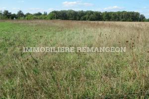 Picture of listing #317296216. Land for sale in Chaumont-sur-Tharonne
