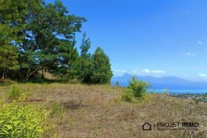 Picture of listing #317332313. Land for sale in Punaauia