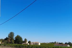 Picture of listing #317391947. Land for sale in Pauillac
