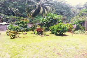 Picture of listing #317396986. Land for sale in Pueu