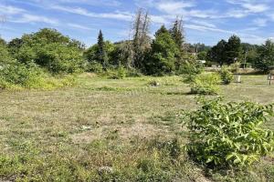 Picture of listing #317536793. Land for sale in Connantre