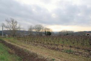 Picture of listing #317537242. Land for sale in Limoux