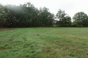 Picture of listing #318004914. Land for sale in Poncins