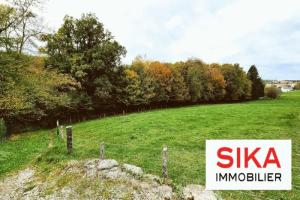 Picture of listing #318027399. Land for sale in Dannelbourg