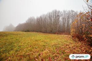 Picture of listing #318233287. Land for sale in Pageas