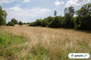 Picture of listing #318233586. Land for sale in Meyssac