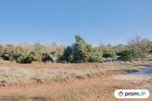 Thumbnail of property #318234481. Click for details