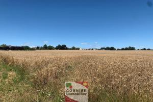 Picture of listing #318266209. Land for sale in Domagné