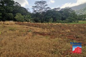Picture of listing #318427935. Land for sale in Afareaitu