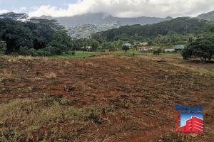 Picture of listing #318427936. Land for sale in Afareaitu