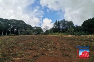 Picture of listing #318427937. Land for sale in Afareaitu
