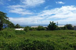 Picture of listing #318727066. House for sale in Mahina