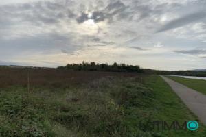 Picture of listing #318751734. Land for sale in Ensisheim