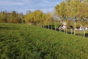 Picture of listing #318754908. Land for sale in Mauriac