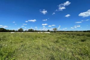 Picture of listing #318835278. Land for sale in Bourges