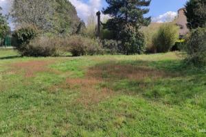 Picture of listing #319797318. Land for sale in Léognan