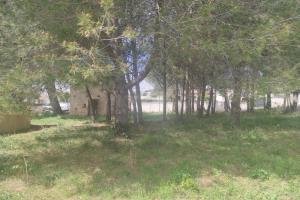 Thumbnail of property #320173964. Click for details