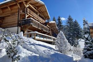 Picture of listing #320394900. Appartment for sale in Morzine