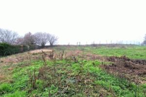 Picture of listing #320439242. Land for sale in Suzy