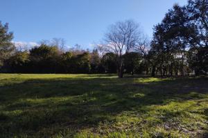 Picture of listing #320459581. Land for sale in Noé