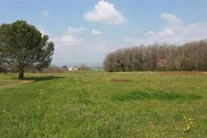 Picture of listing #320694789. Land for sale in Blaye