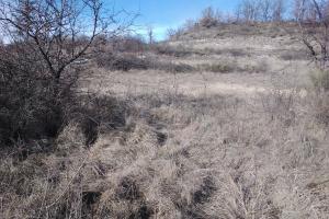 Picture of listing #320740638. Land for sale in Annot