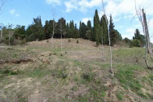 Picture of listing #320748559. Land for sale in Limoux