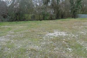 Thumbnail of property #320824322. Click for details