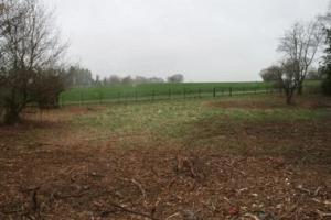 Thumbnail of property #321207055. Click for details