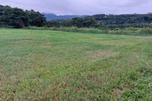 Picture of listing #321260182. Land for sale in Papara