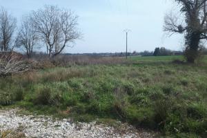 Picture of listing #321280215. Land for sale in Sornay
